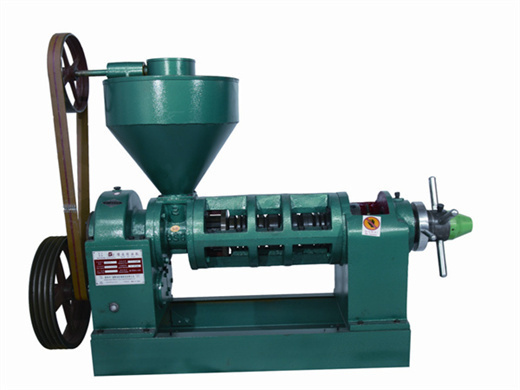 lowest price oil expeller peanut oil press machine in tanzania