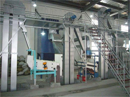 6yl 80 peanut mill production line with oil filter in durban