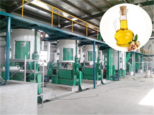 sunflower seed oil press extraction machine in lagos