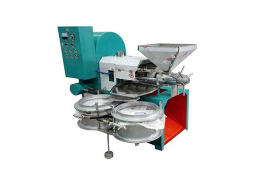 new type automatic peanut oil press machine in zambia