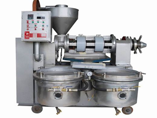britain hot peanut oil machine oil press machine in zambia